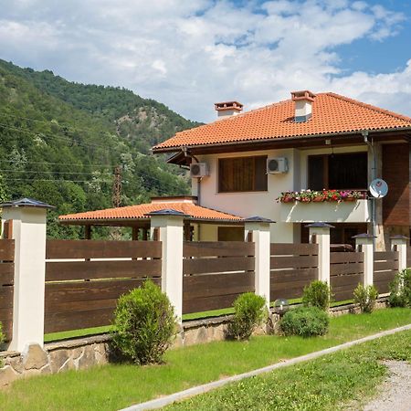 Guest House Vitora Ribaritsa Bagian luar foto