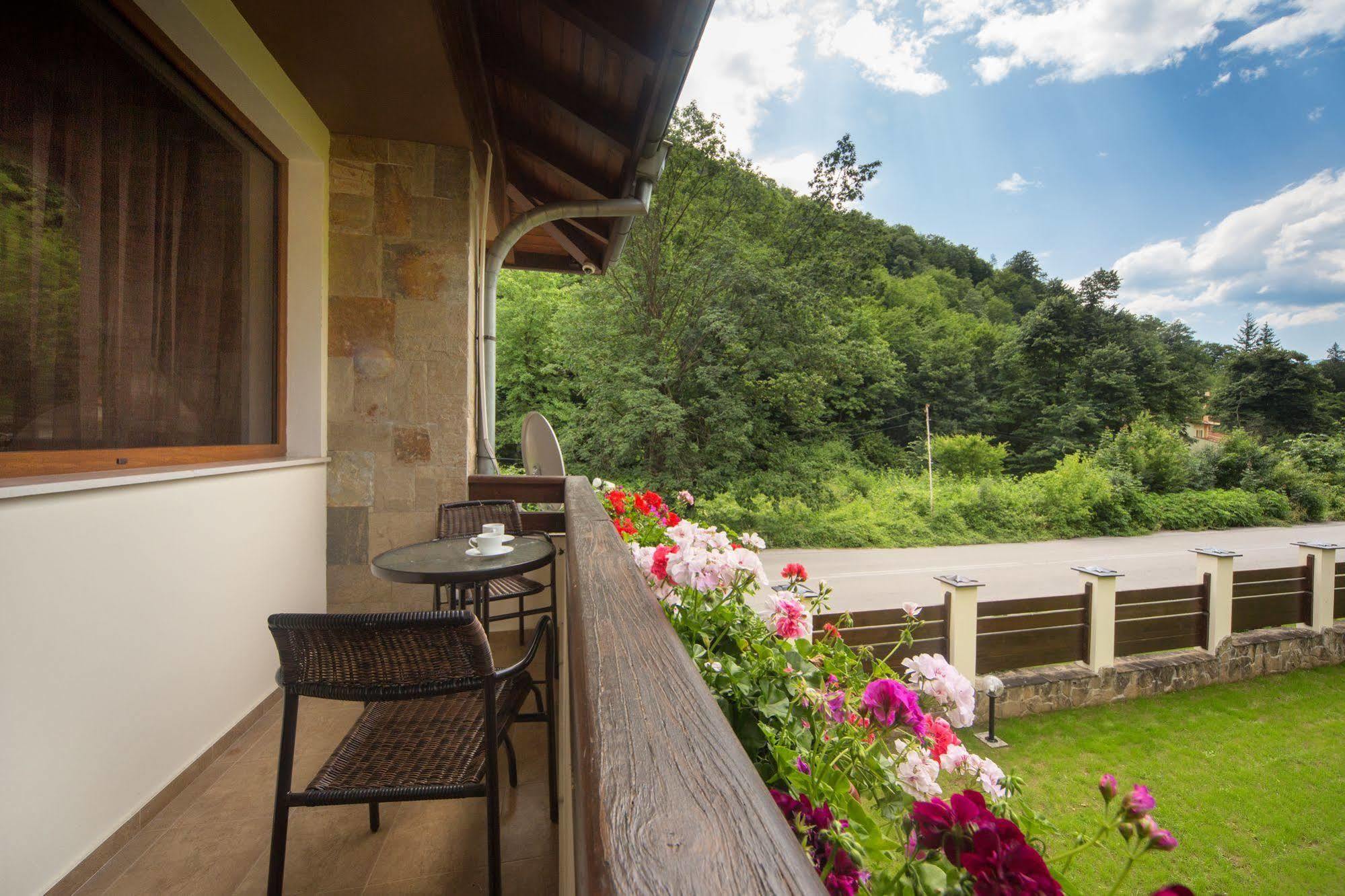 Guest House Vitora Ribaritsa Bagian luar foto
